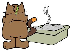 Read more about the article Jak utrzymać zamykane kuwety dla kotów w czystości?