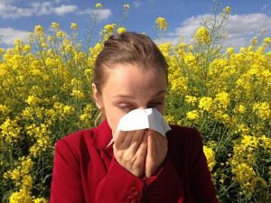 Read more about the article Zastosowanie kwercetyny przy alergiach